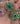 14K Emerald Charm