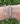 Sterling Silver Coil Cuff Bracelet